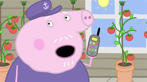 video peppa wutz|peppa pig wutz neue folgen.